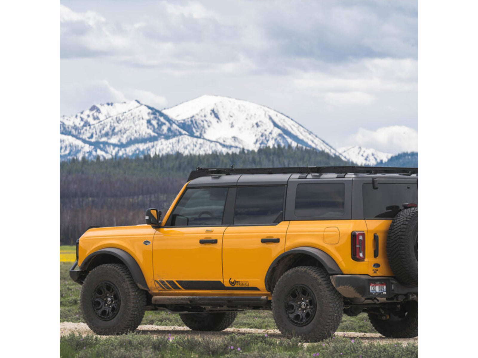 CBI Offroad Ford Bronco Bolt on Rock Sliders Rock Sliders | 2022